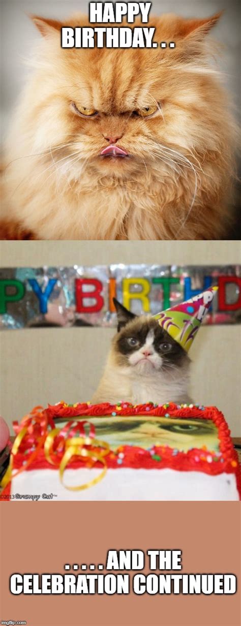 grumpy cat birthday Memes & GIFs - Imgflip