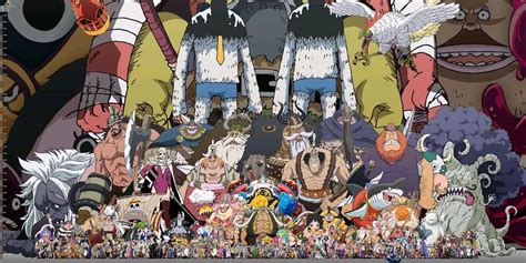 Height Comparison Of Different Characters Of One Piece R Onepiece