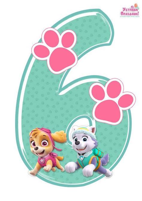 Paw Patrol Abc En Rosa Con Skye Y Everest Artofit