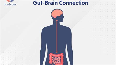 All About Healthy Gut Brain Connection JoyScore The Joy Of Self Care