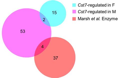 Figures And Data In Cystatin F Cst7 Drives Sex Dependent Changes In