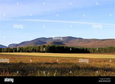 Adirondack Park Forest Camping Hi Res Stock Photography And Images Alamy