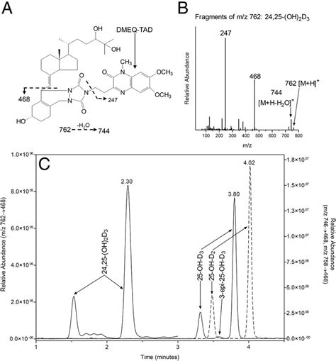 A Structure And Fragmentation Of Dmeq Tad Adduct Of 2425 Oh 2 D 3