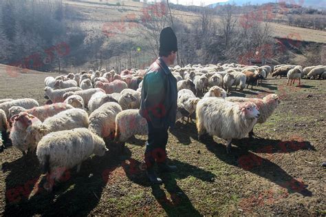 Va fi complet interzis în România Cine nu respectă aceste reguli riscă