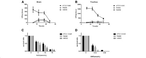 In Vitro Evaluation Of The Susceptibility Of The Wild Type ATCC 11845