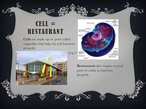 Cell Analogy Example