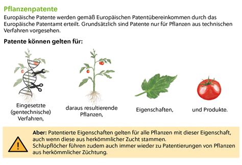 Kein Freibrief F R Neue Gentechnik Bio Austria