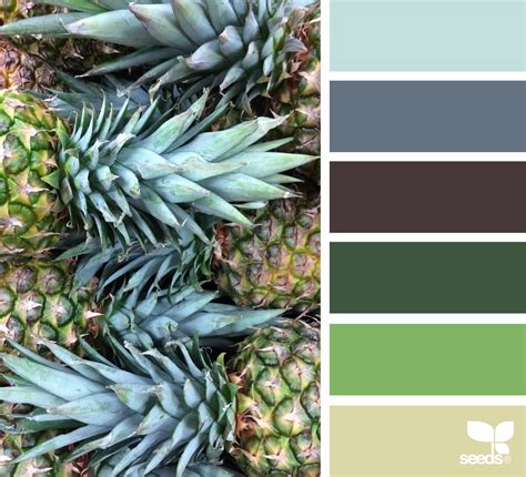 Pineapple Palette Design Seeds Seeds Color Hue Color