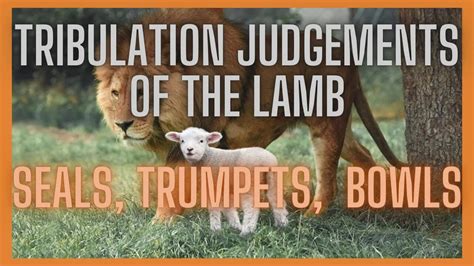 The Tribulation Judgements Of The Lamb Trumpets Seals And Bowls