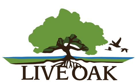 Live Oak Environmental Residential And Commercial Waste Removal