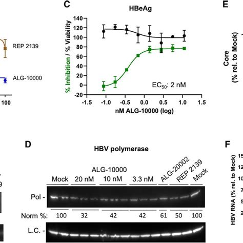 Properties Of Alg Inhibition Of Hbv Replication A Kinetics Of