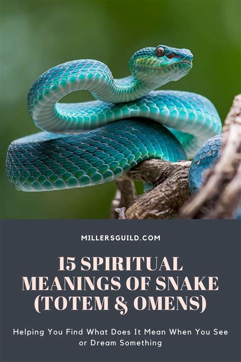 15 Spiritual Meanings of Snake (Totem & Omens)