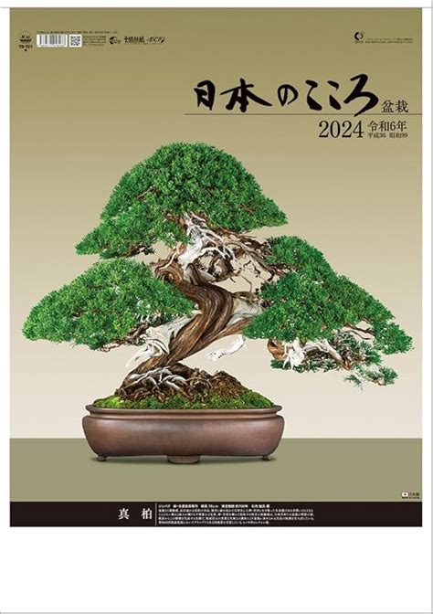 Bonsai Calendar 2024 Ediva Gwyneth