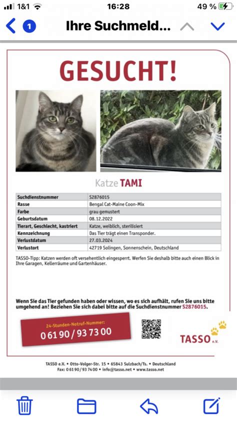 VERMISST Katze Tami Getigert Gechipt Tierheim Solingen