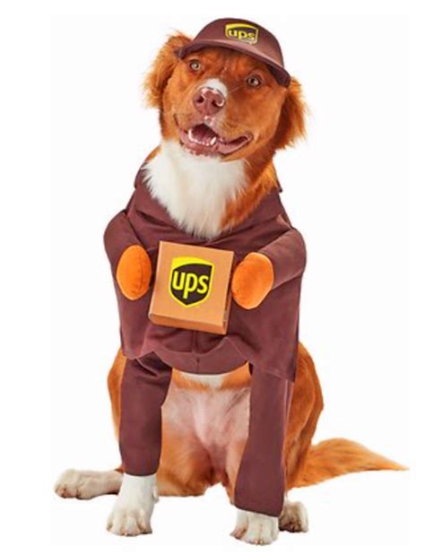 Your Dog Can Be A UPS Canine Courier This Halloween