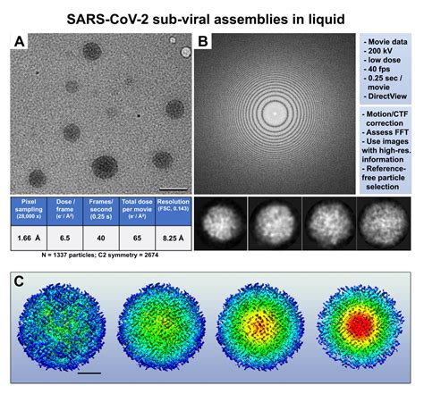 Advancing High Resolution Imaging Of Virus Assemblies In Liquid And Ice