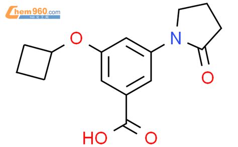 537658 20 1 Benzoic Acid 3 Cyclobutyloxy 5 2 Oxo 1 Pyrrolidinyl