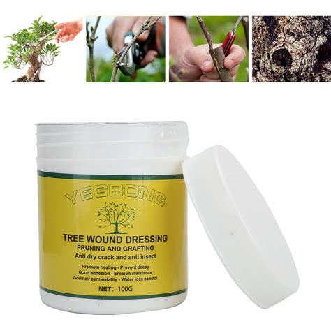 Eotvia Tree Wound Pruning Sealer 100g Tree Wound Pruning Sealer Plant Tree Wound Cut Paste