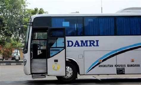 Menuju IKN Nusantara Bisa Pakai Bus Damri Berikut Jadwal Dan Tarifnya