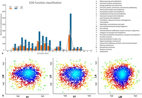 Clusters Of Orthologous Groups Of Proteins Cogs Classification A