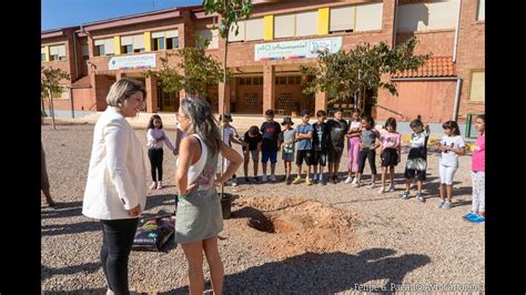 El Ayuntamiento Ampl A A M S De Rboles El Plan De Sombraje Natural