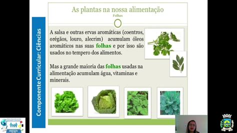 Ci Ncias Ano Aula As Plantas Na Alimenta O Youtube