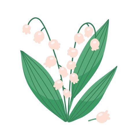 Premium Vector Lily Of The Valley Spring Flower With Blooming