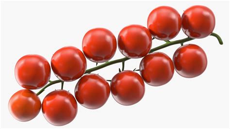 Cherry Tomatoes On The Vine D Model Ds Blend C D Fbx Max