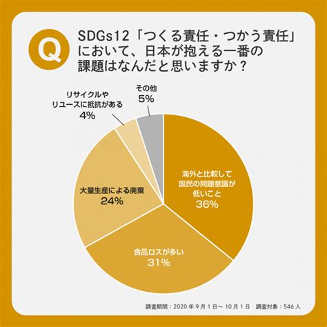 Amp Sdgs12「つくる責任・つかう責任」アンケート実施 取り組んでいきたい95 Amp アンプ ビジネスインスピレーションメディア