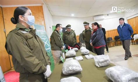 Eficaz Operativo Antidrogas De Carabineros De Valdivia Diario Futrono