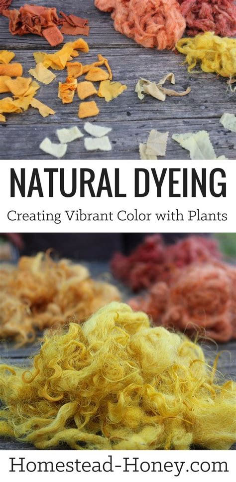 How To Make Natural Green Dye La Creative Mama 55 Off