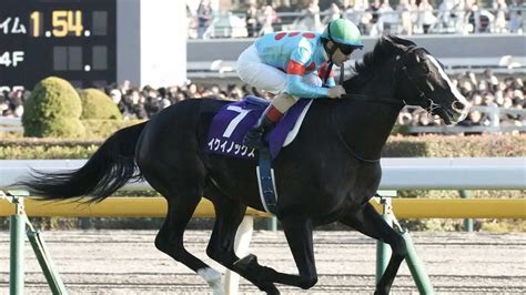 ＜天皇賞・秋＞レースを制したイクイノックスのルメールは馬上で最敬礼（撮影・郡司 修） ― スポニチ Sponichi Annex ギャンブル