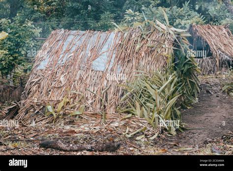 Traditional Aboriginal Shelter Hi Res Stock Photography And Images Alamy