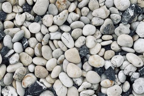 Smooth Round Pebbles Texture Background Pebble Sea Beach Close Up