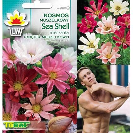 On Tek Kosmos Muszelkowy Sea Shell Mix Nasion