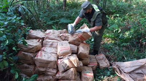 Prefectura Y Gendarmería Incautaron Más De Media Tonelada De Marihuana Argentinagobar