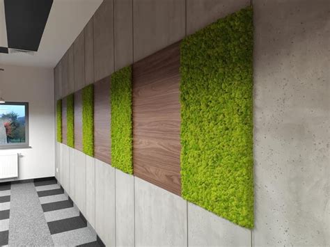 Stunning Preserved Moss Walls For Unique Interiors Shop Now