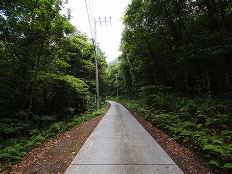 Ikenosawa Caldera Aogashima Tourism Japan Travel Arinoki