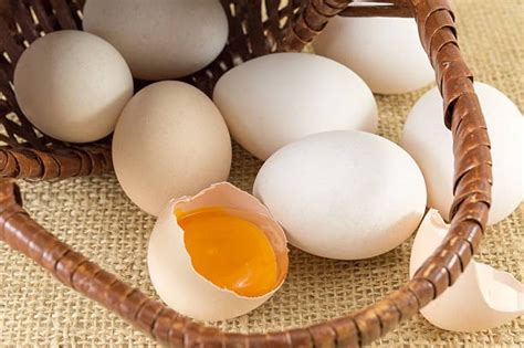 Idiom Don T Put All Your Eggs In One Basket