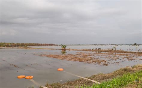 Sebagian Pengungsi Banjir Demak Berangsur Kembali Ke Rumah Lenteraesai Id