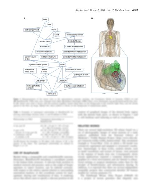 SOLUTION: Anatomy body parts in 3d - Studypool