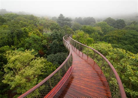 Boomslang Walkway By Mark Thomas And Henry Fagan