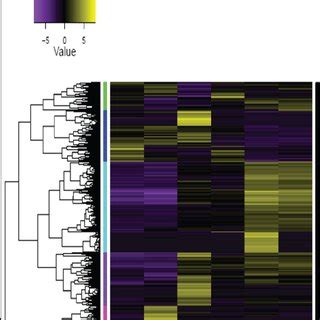 Hierarchical Cluster Analysis Of Gene Expression Across Different C