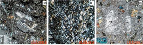 thin section photograph  cross polarized light xpl