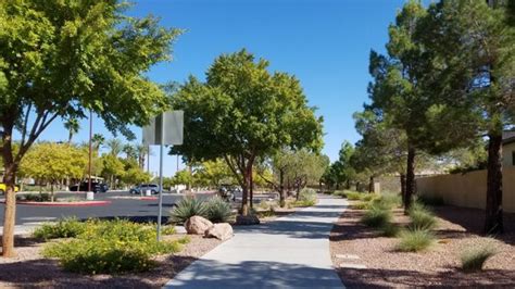 Summerlin Centre Community Park Updated January 2025 104 Photos