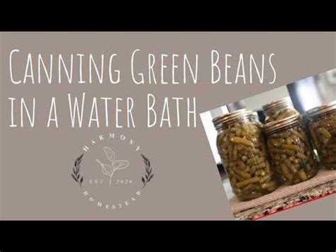 Canning Green Beans in a Water Bath - for beginners - YouTube in 2023 | Green beans, How to cook ...