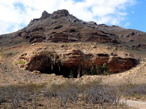 Socotra Island Yemen One Of The Most Alien Looking Places On Earth R Pics