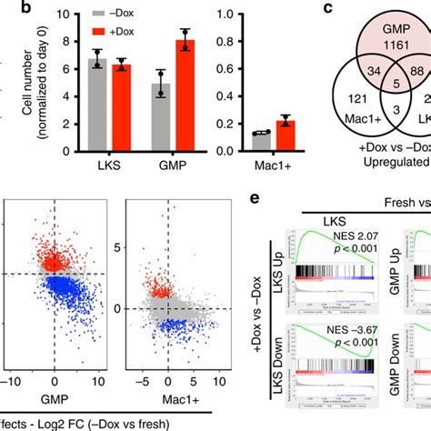 Tracking Mll Af9 Mediated Transformation From Single Hematopoietic