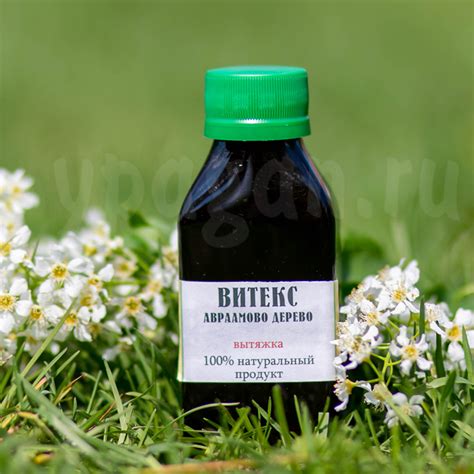 Витекс священный настойка купить