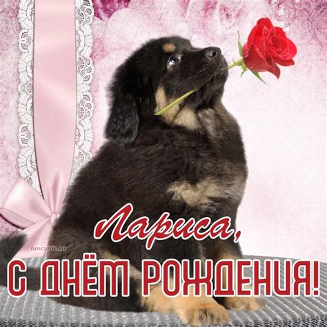 Отличная картинка Ларисе с милой собакой и розой